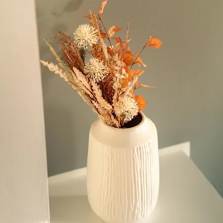 Cozy Arctic Circle Apartman